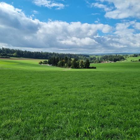 Modern Eingerichtete 3-Zi-Ferienwohnung Zu Vermieten Löffingen Eksteriør billede